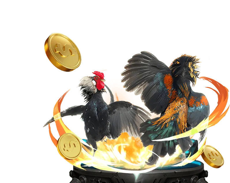 Đa dạng sản phẩm giải trí tại đá gà thôm